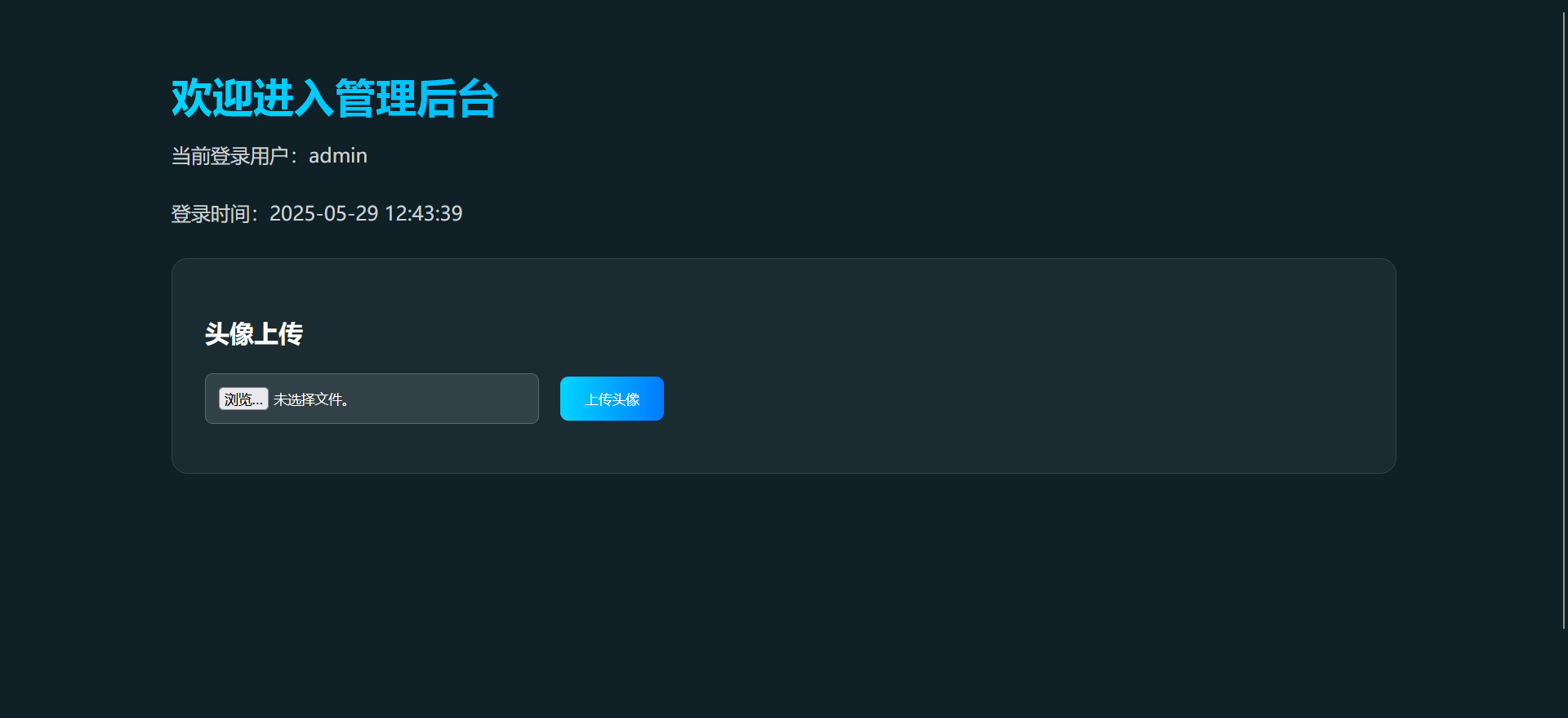 image-20250529204945763