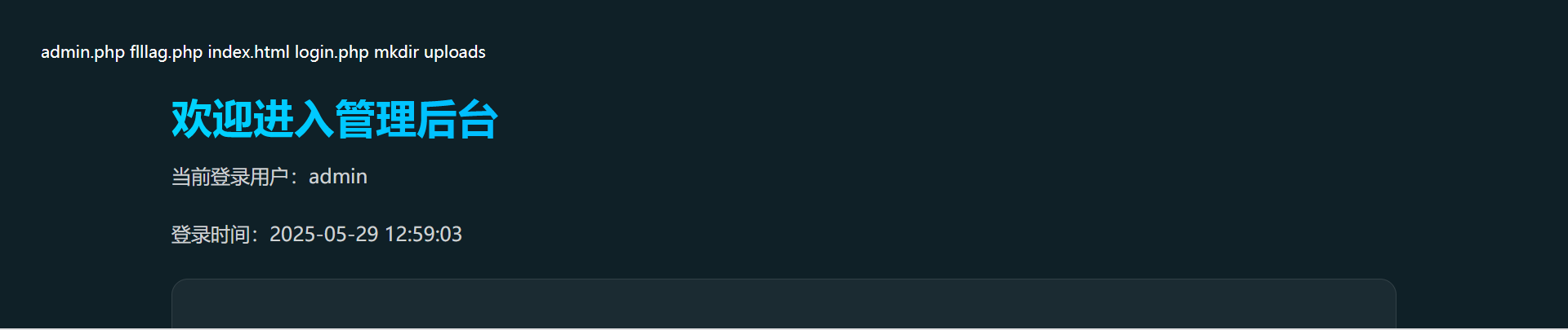 image-20250529212739535