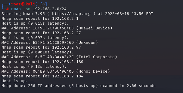 image-20250819015124701